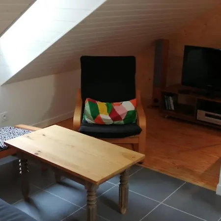 Appartement Mansarde Et Chaleureux Au Coeur De Cauterets