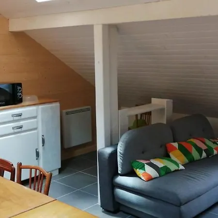 Mansarde Et Chaleureux Au Coeur De Appartement Cauterets